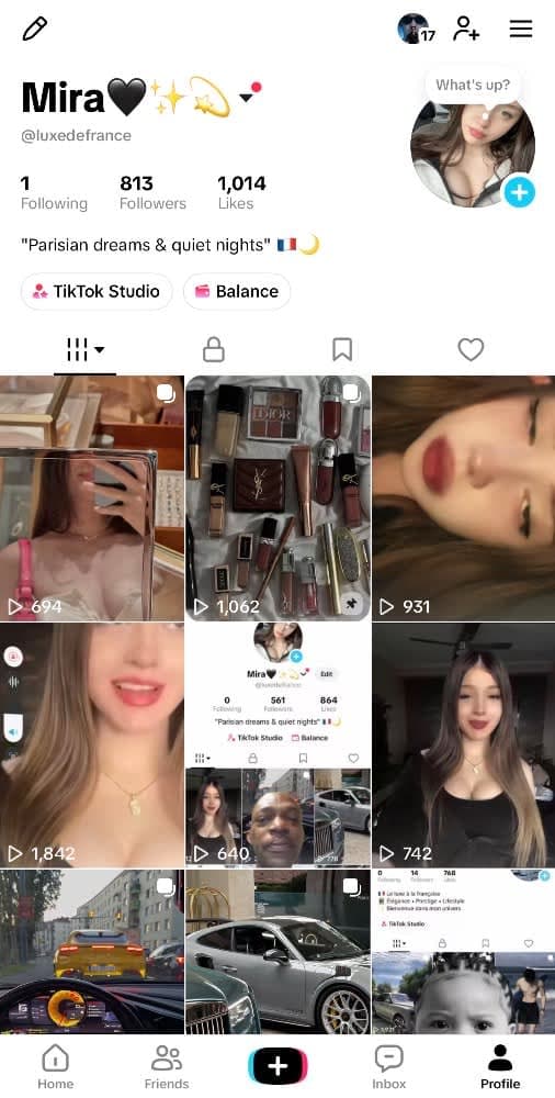 Premium TikTok France Account