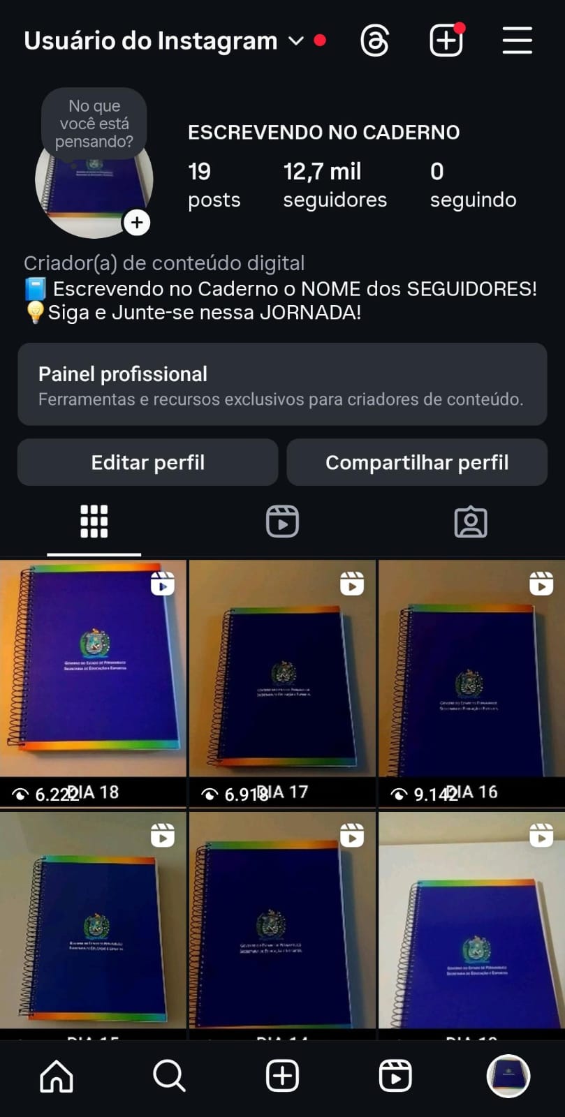 ESCREVENDO NO CADERNO