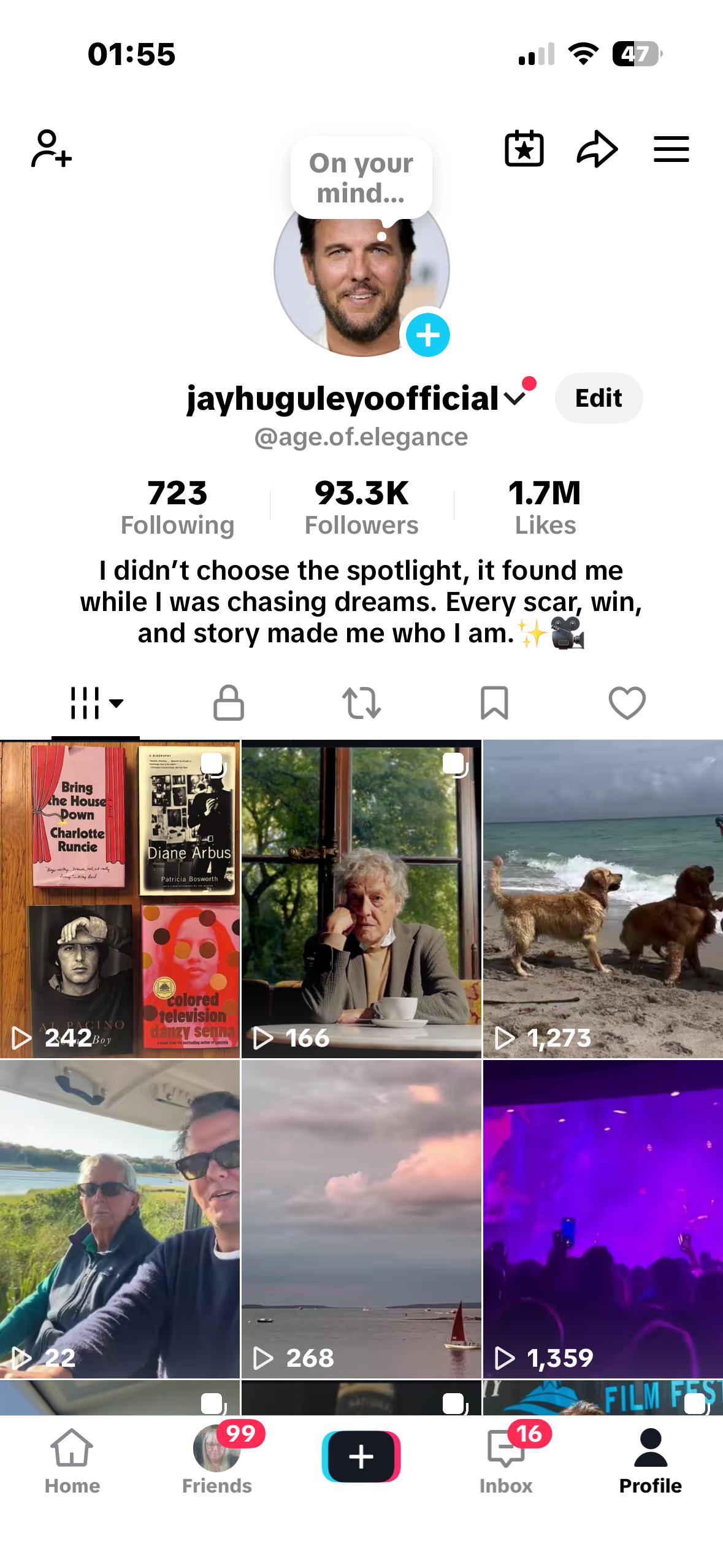 USA 🇺🇸 TikTok account