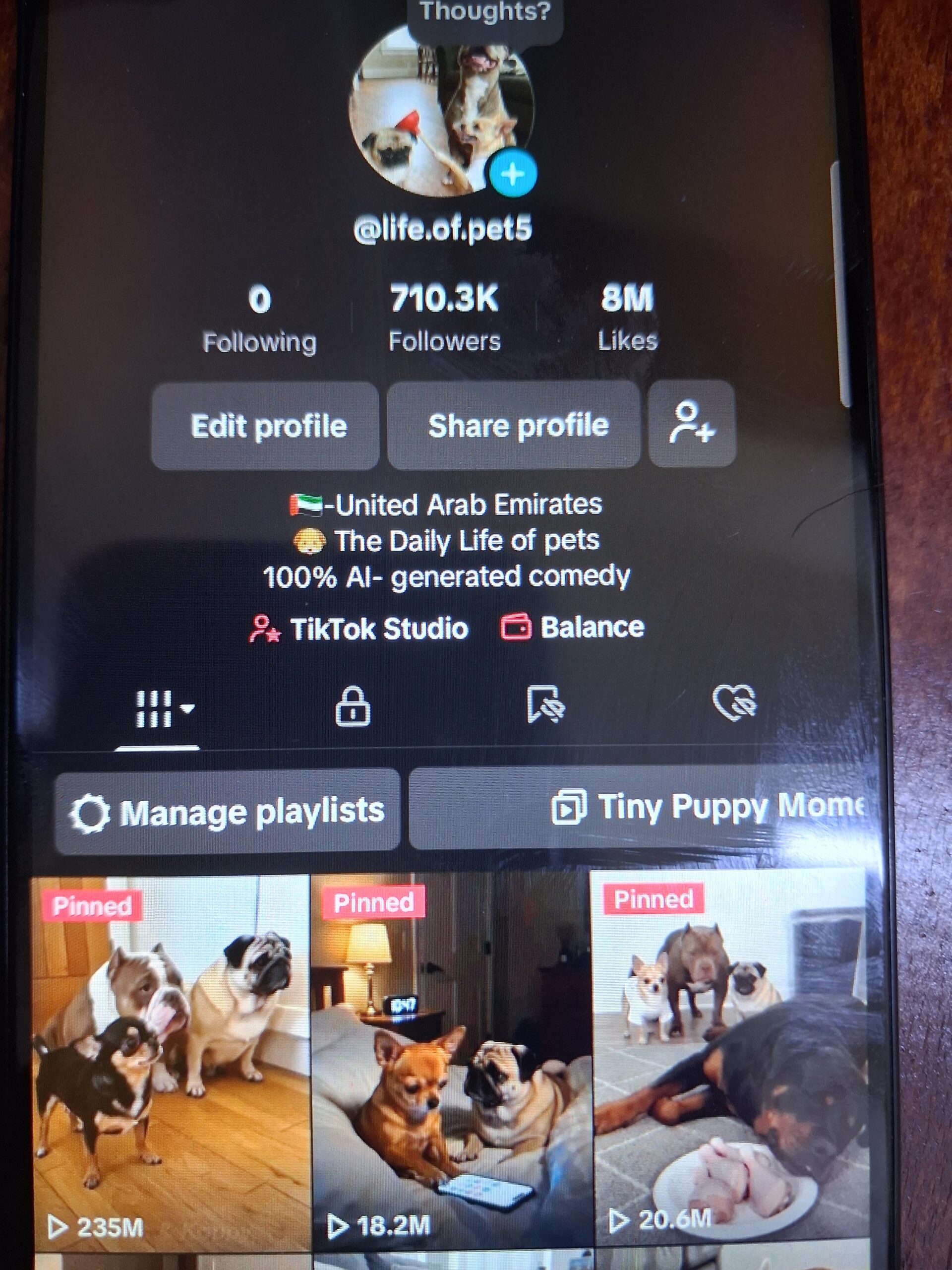Life of pet