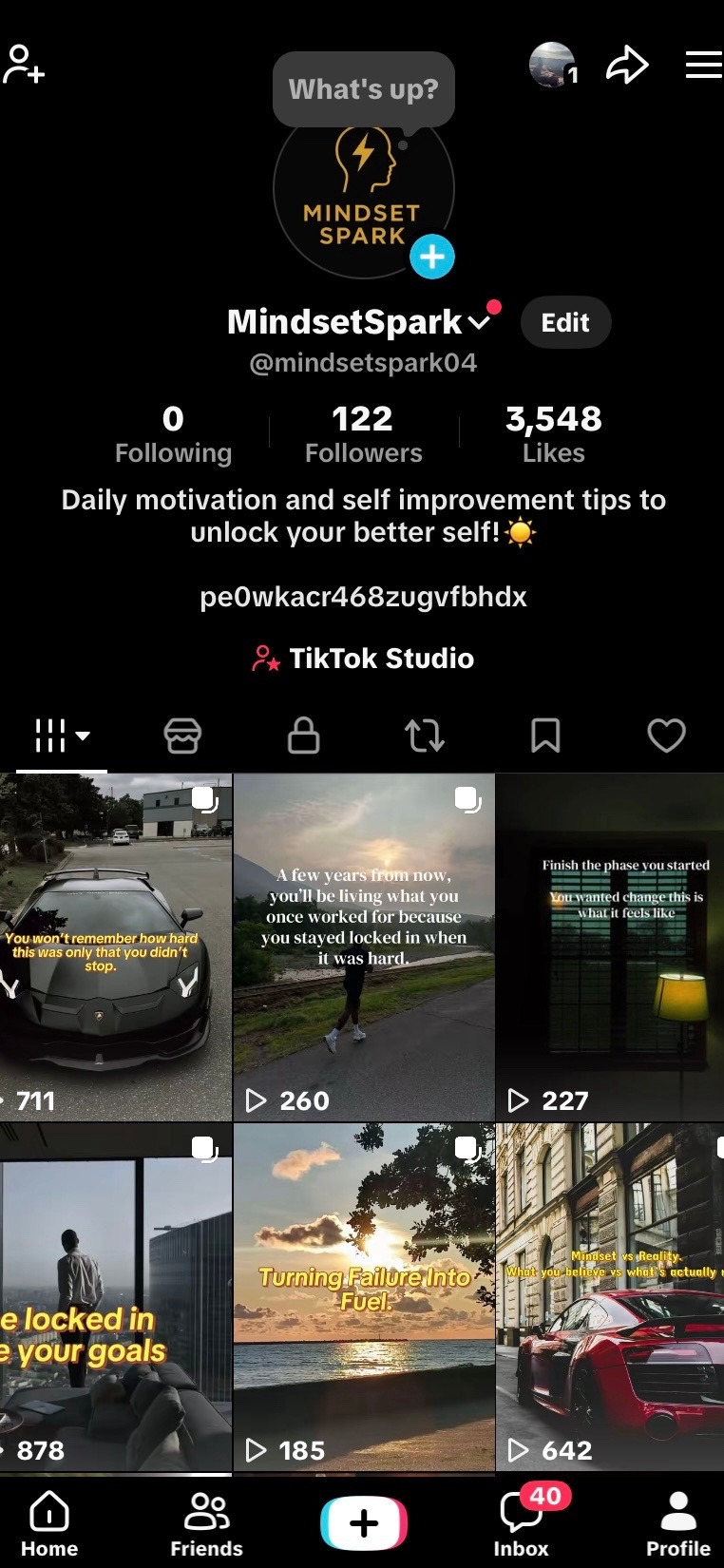 Mindsetspark