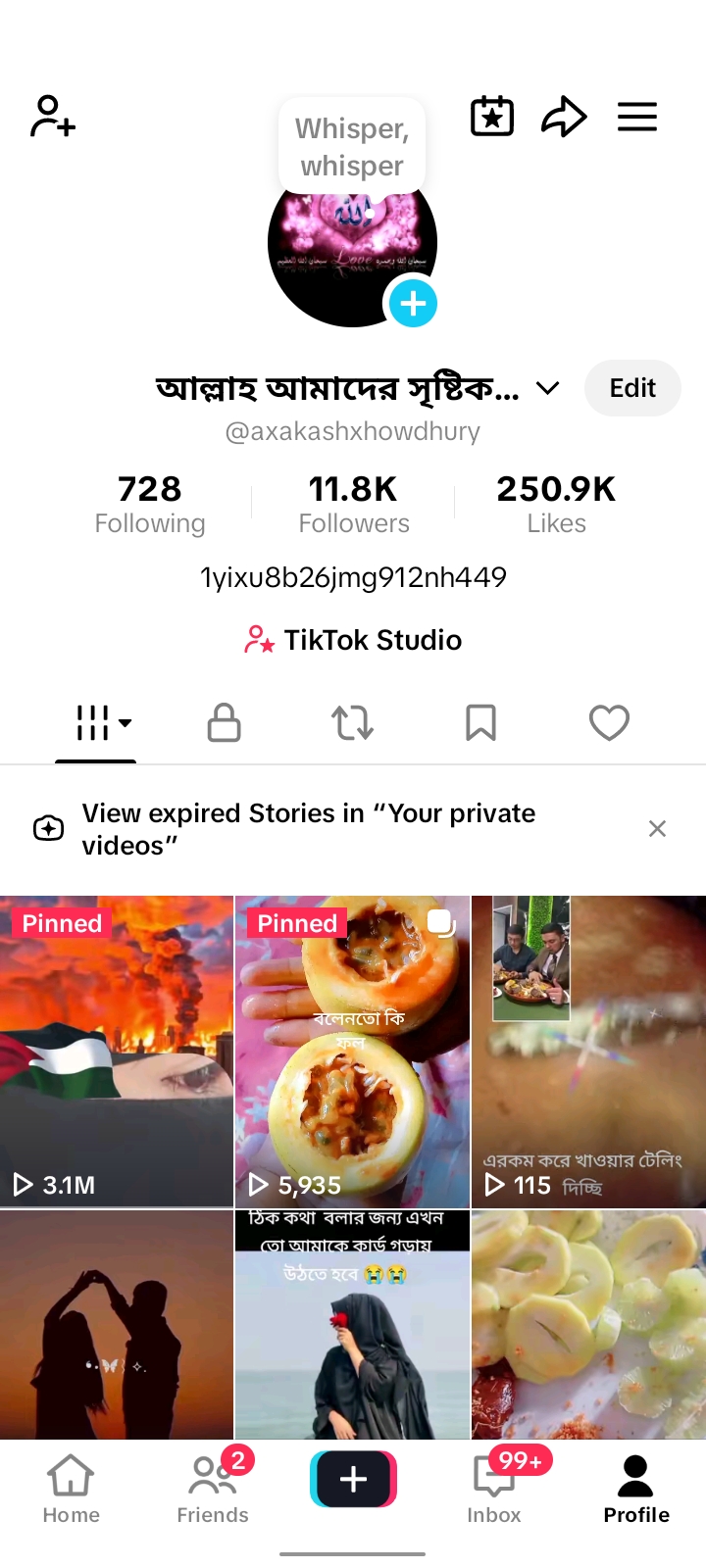 TikTok Account | 11.8K Followers | 250K Likes | Active